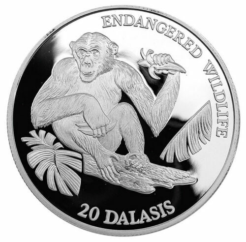 GAMBIA 20 Dalasis 1993 Silver Proof 'Chimpanzee'