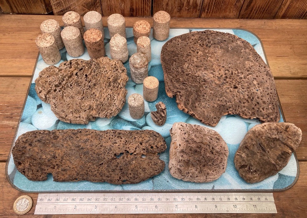 Tropical Driftwood and Cork pieces