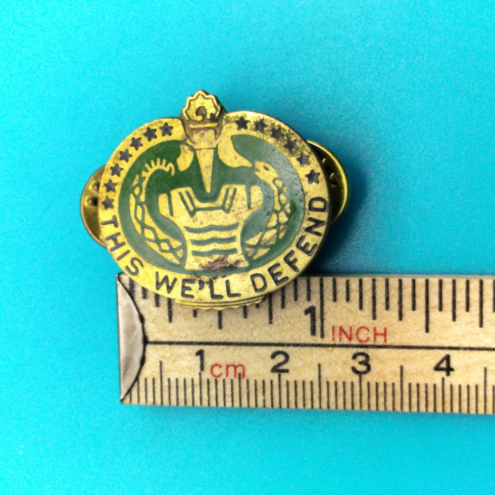 Vintage US Army Drill Sergeant Instructor Insignia Pin “This We’ll Defend”