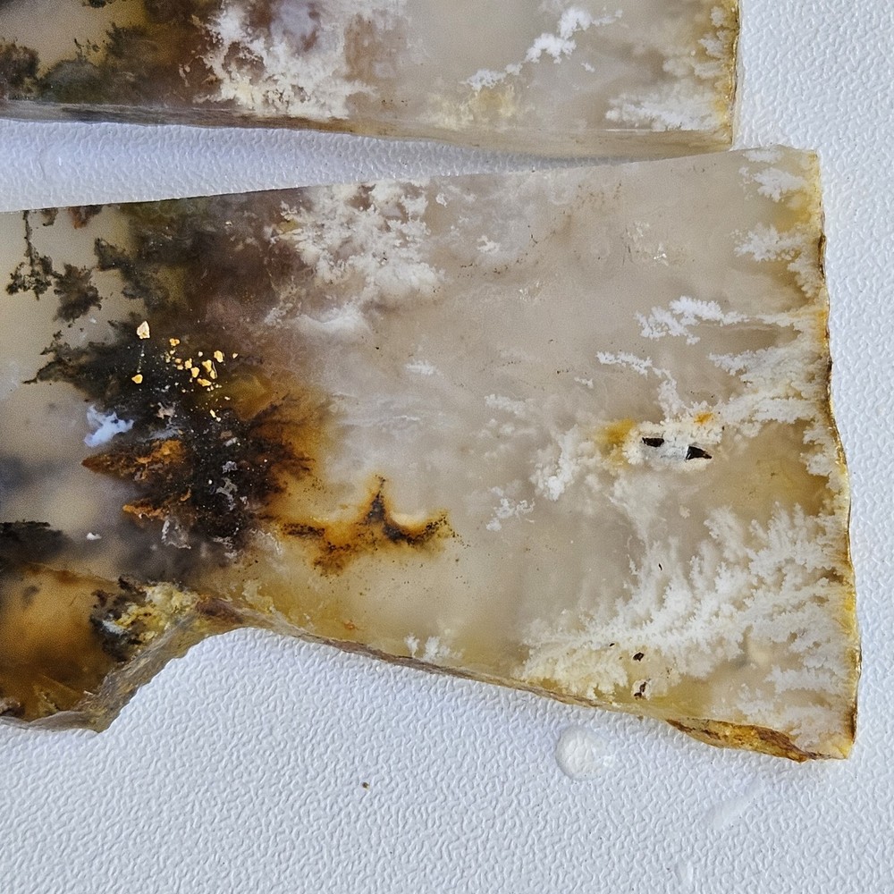 Nice Graveyard Plume Agate Lapidary Slabs 76 Grams