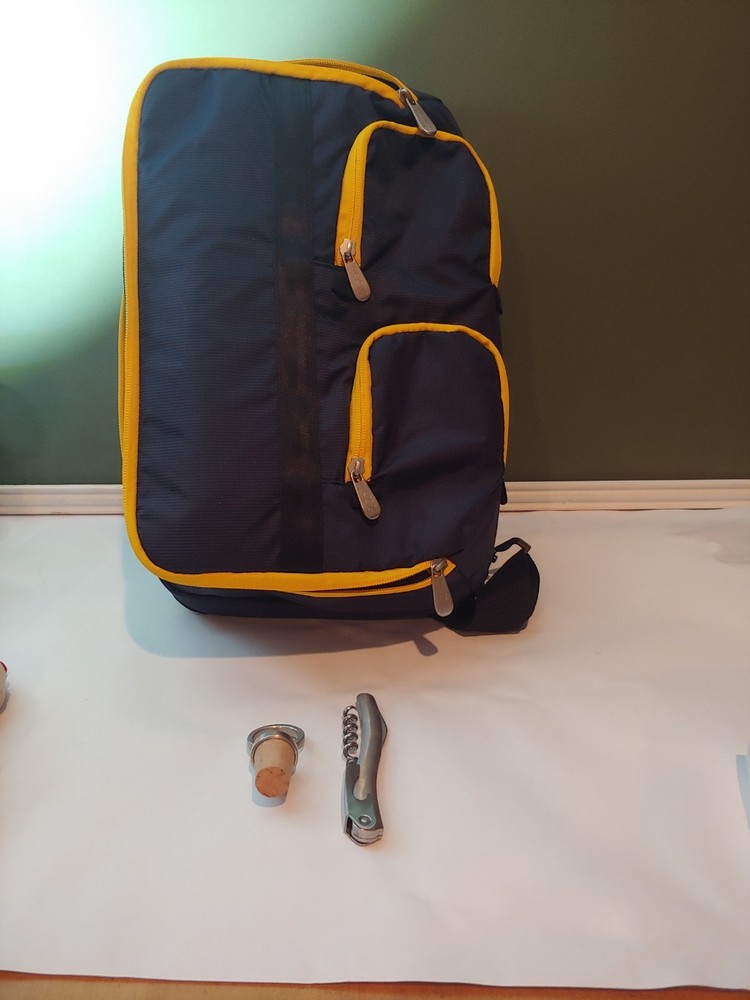 Picnic Time (NEW) Wine Tote
