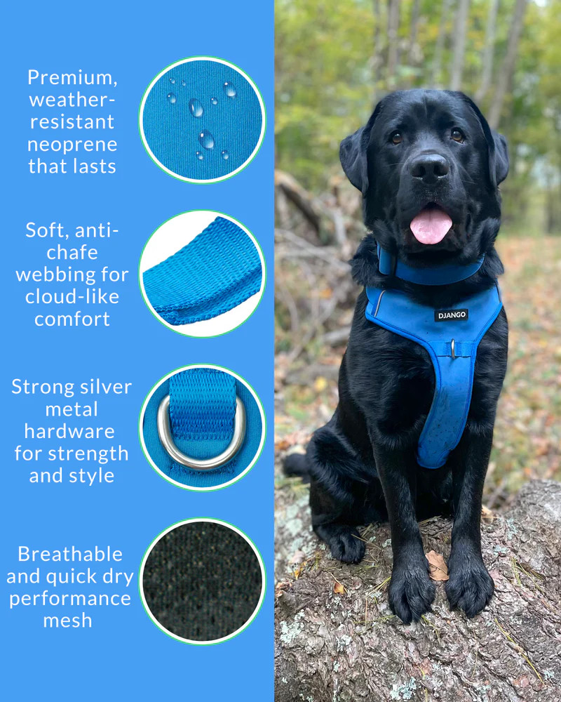 NWT Django Tahoe No Pull Dog Harness - Alpine Blue