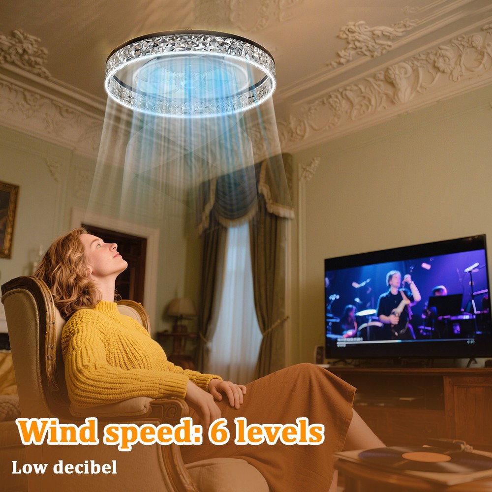 20" Modern Fan Lights Flush Mount LED Ceiling Light kit With Remote APP Control