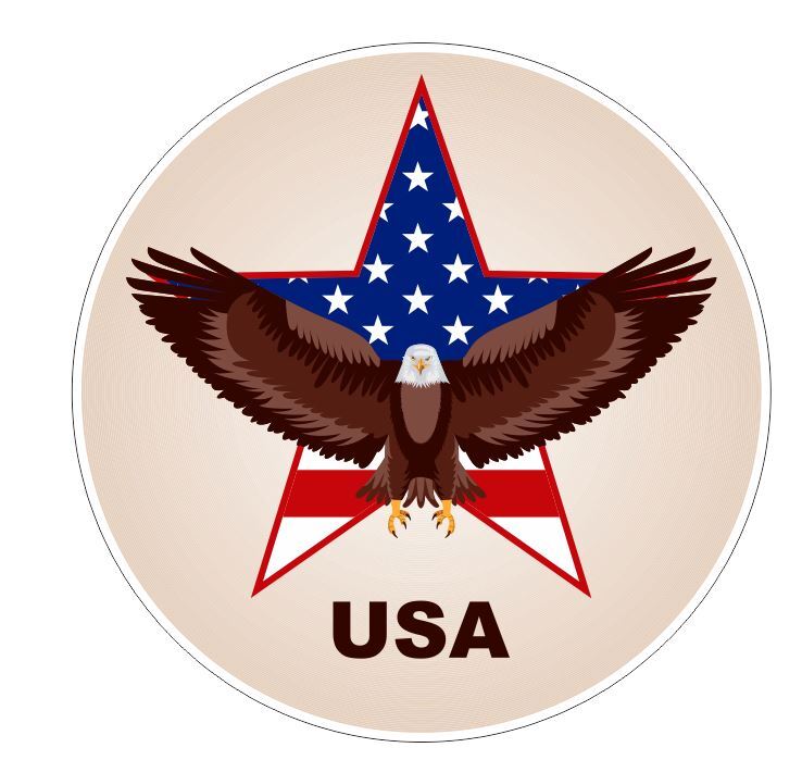 USA American Eagle Sticker A22