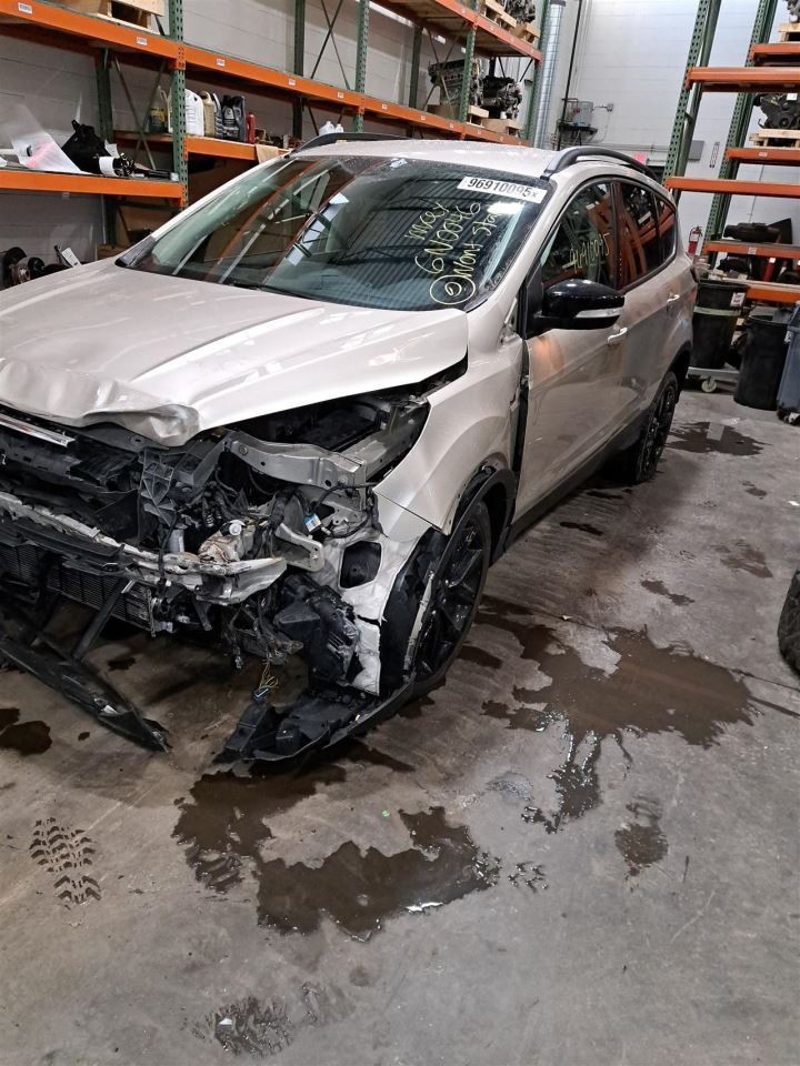 2017 Escape Amplifier Sku#4348878