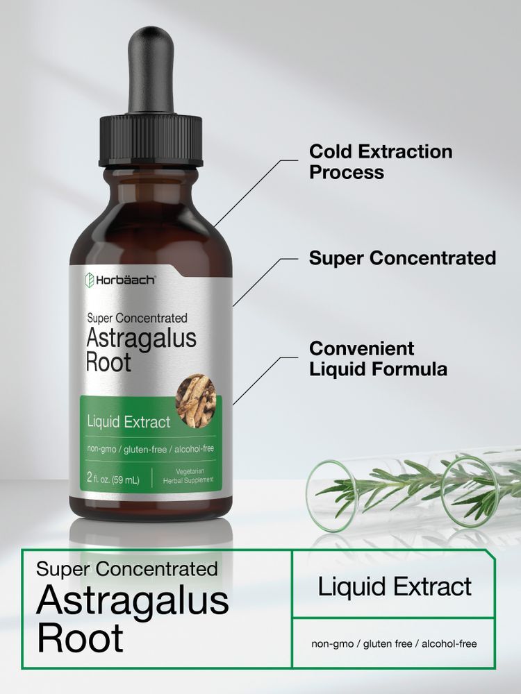 Astragalus Root Liquid Extract | 2 oz | Alcohol Free | Vegetarian | by Horbaach