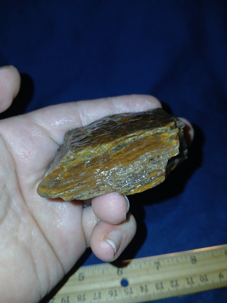 4.5 oz Agatized Petrified Wood