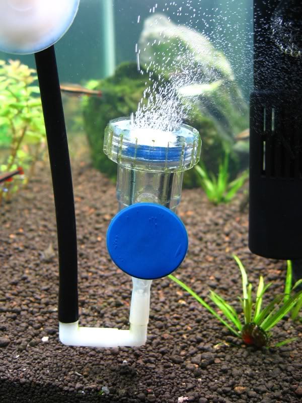 AQUATEK 3-in-1 Diffuser &Bubble Counter Check Valve (S)
