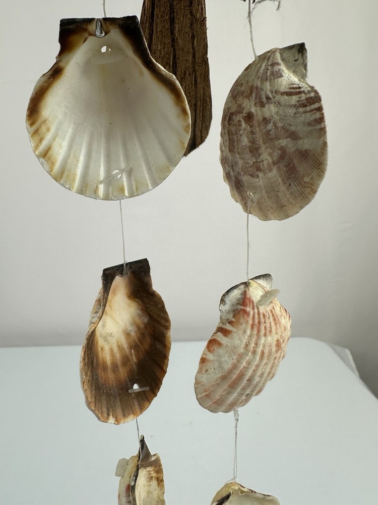 Handcrafted Bird Sea Shell Wind Chime