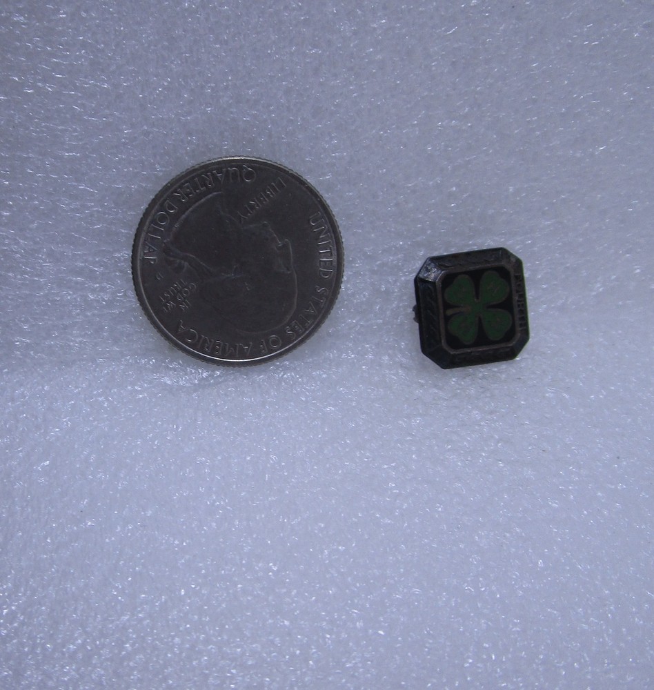 4H Fourth Year Pin