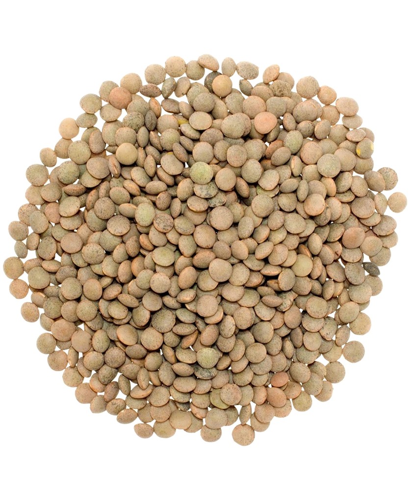 Brown Lentils | 15 LB