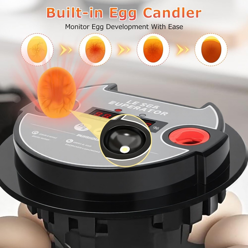 12 Egg Incubators for Hatching Eggs Automatic Egg Incubator with Temperature ...