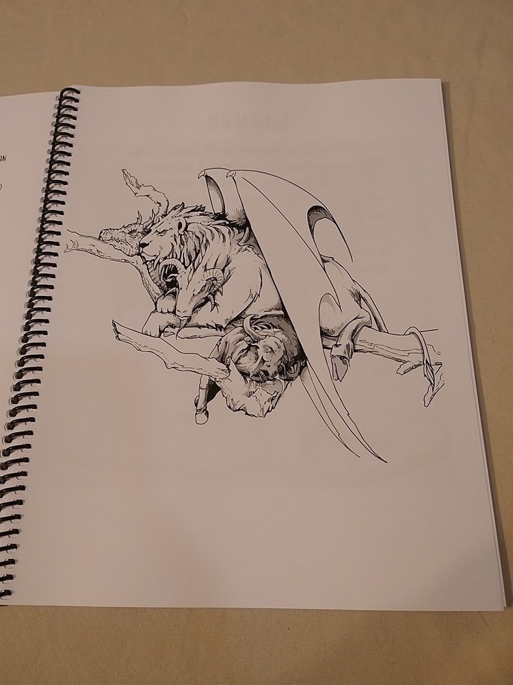 Dungeons and Dragons Coloring Book