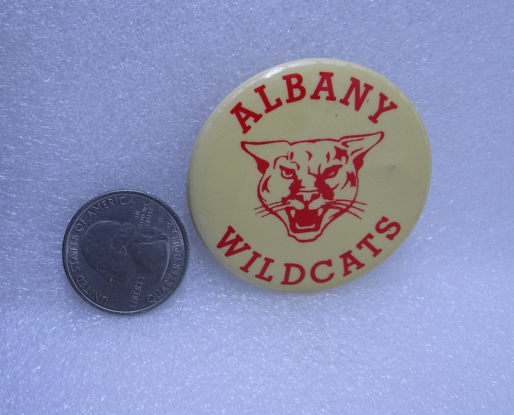 Albany Wildcats Button Pin