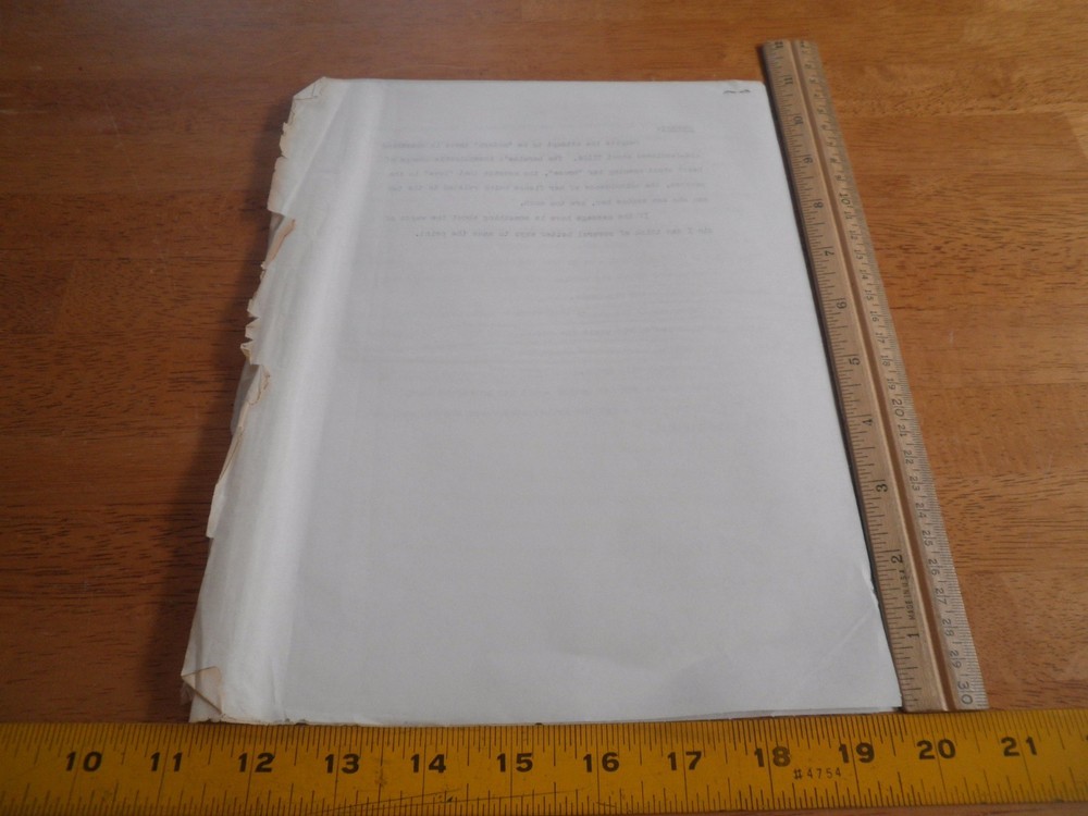 1960's Script reading synopsis Elizabeth Kata Tilda treatment