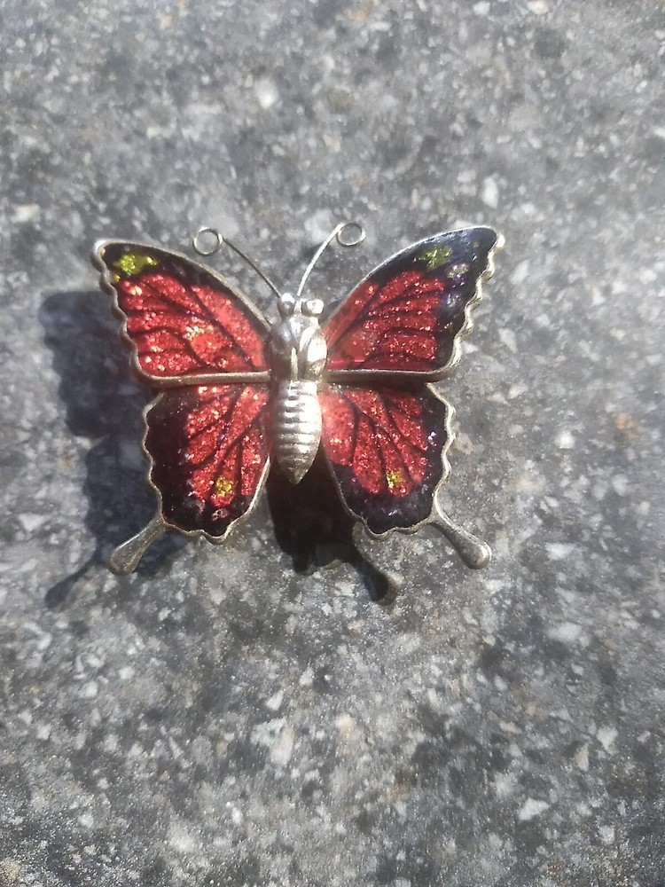 Small Magnetic Butterfly
