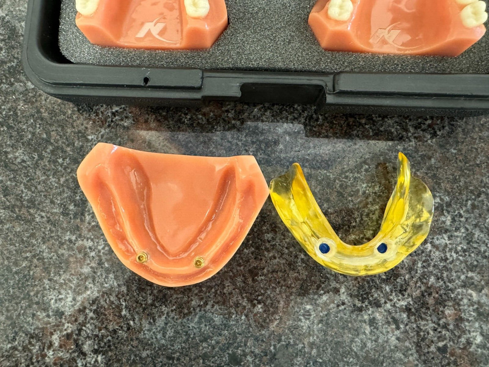 Nobel Biocare Education Models with Case