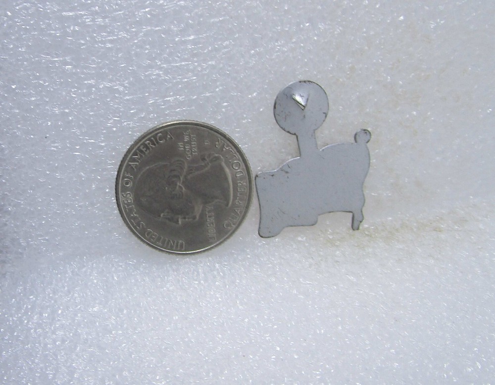 Vote Saylor Political Tab Button Pin