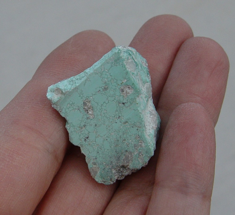 Turquoise small Lapidary Rough 1351