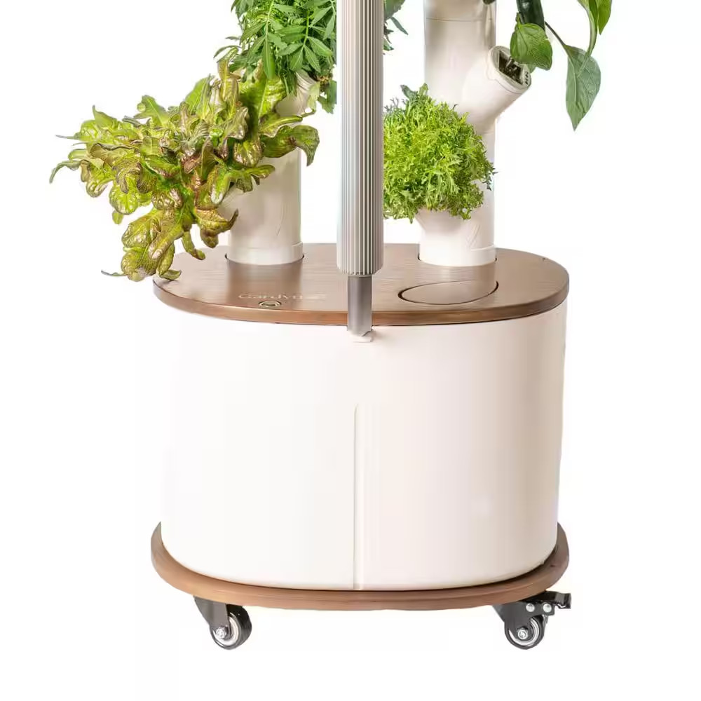 Dolly for Studio, Rolling Cart to Move Your Hydroponics Indoor Growing System, R