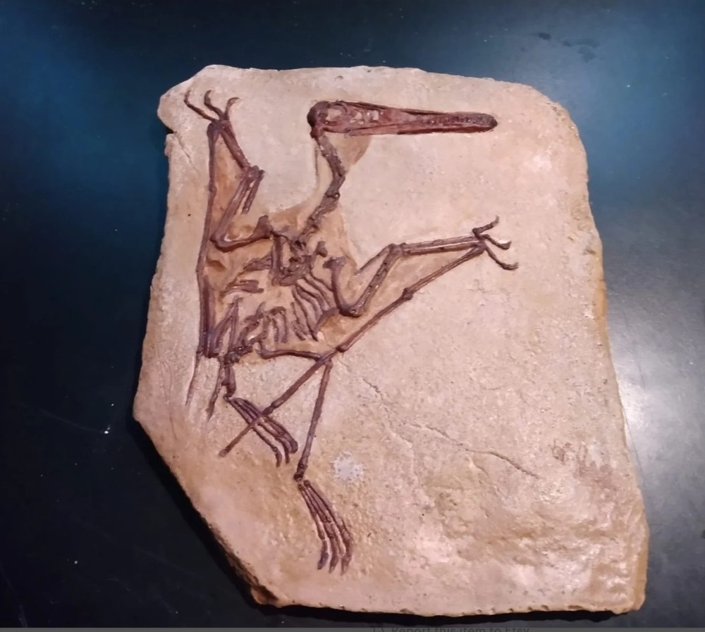 Fossil Dinosaur Pterodactyl in Solnhofen Limestone Specimen - Replica