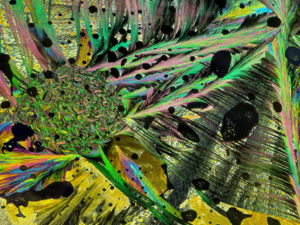 Microscope slide for polarized light, COUMARIN