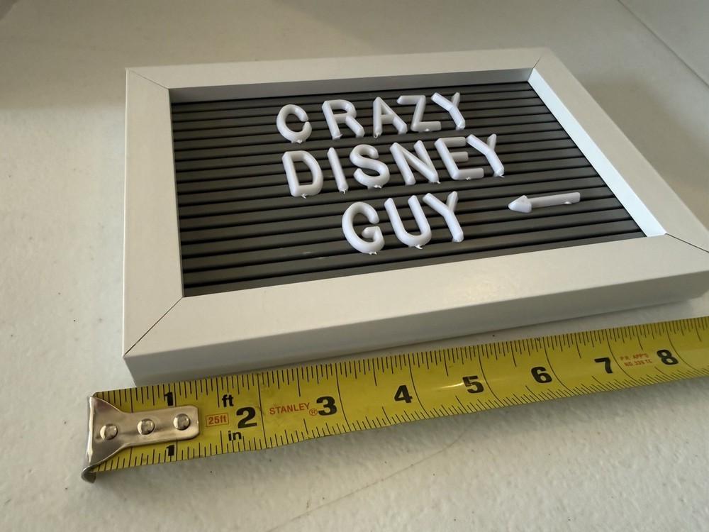 Crazy Disney Guy Sign
