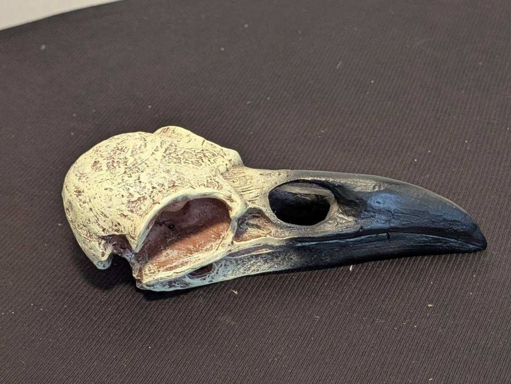 Gothic Raven Crow Skull Decor