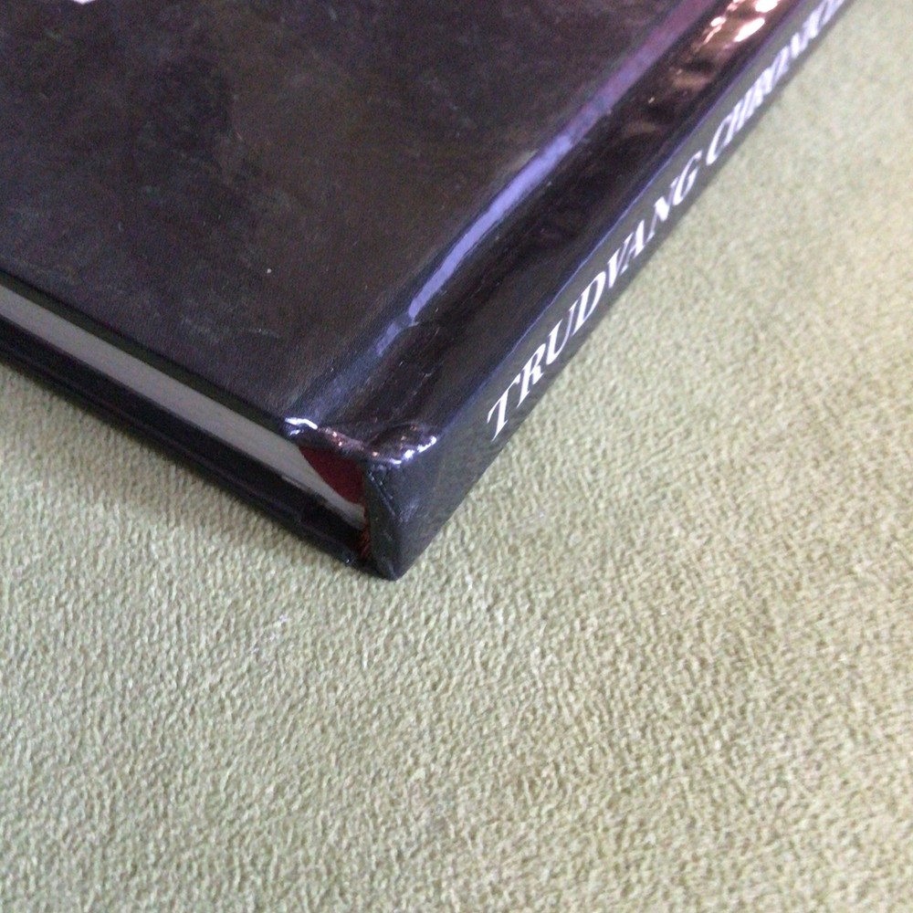 TRUDVANG CHRONICLES: Game Master's Guide