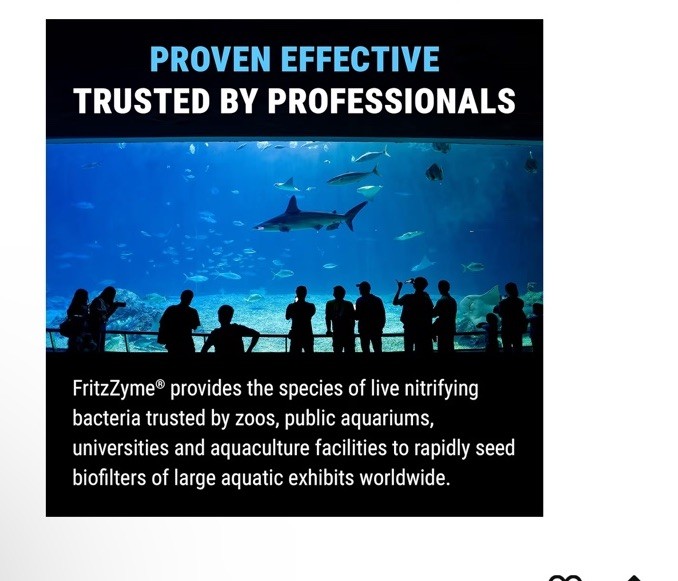 Fritz Aquatics Zyme 7 Ammonia & Nitrate 16 Oz