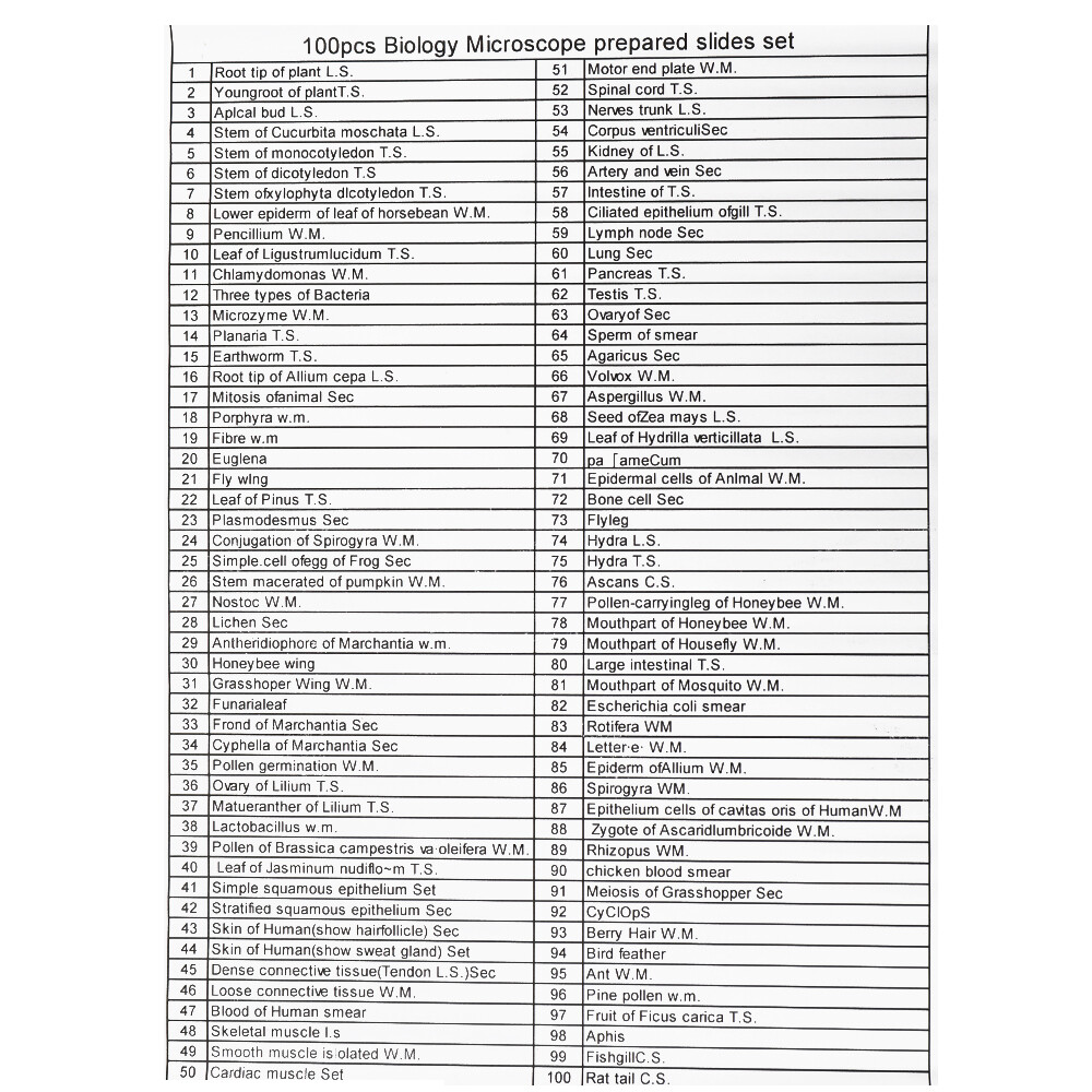 100PCS/Set Biological Glass Sample Portable Educational Microscope Slides J4E6