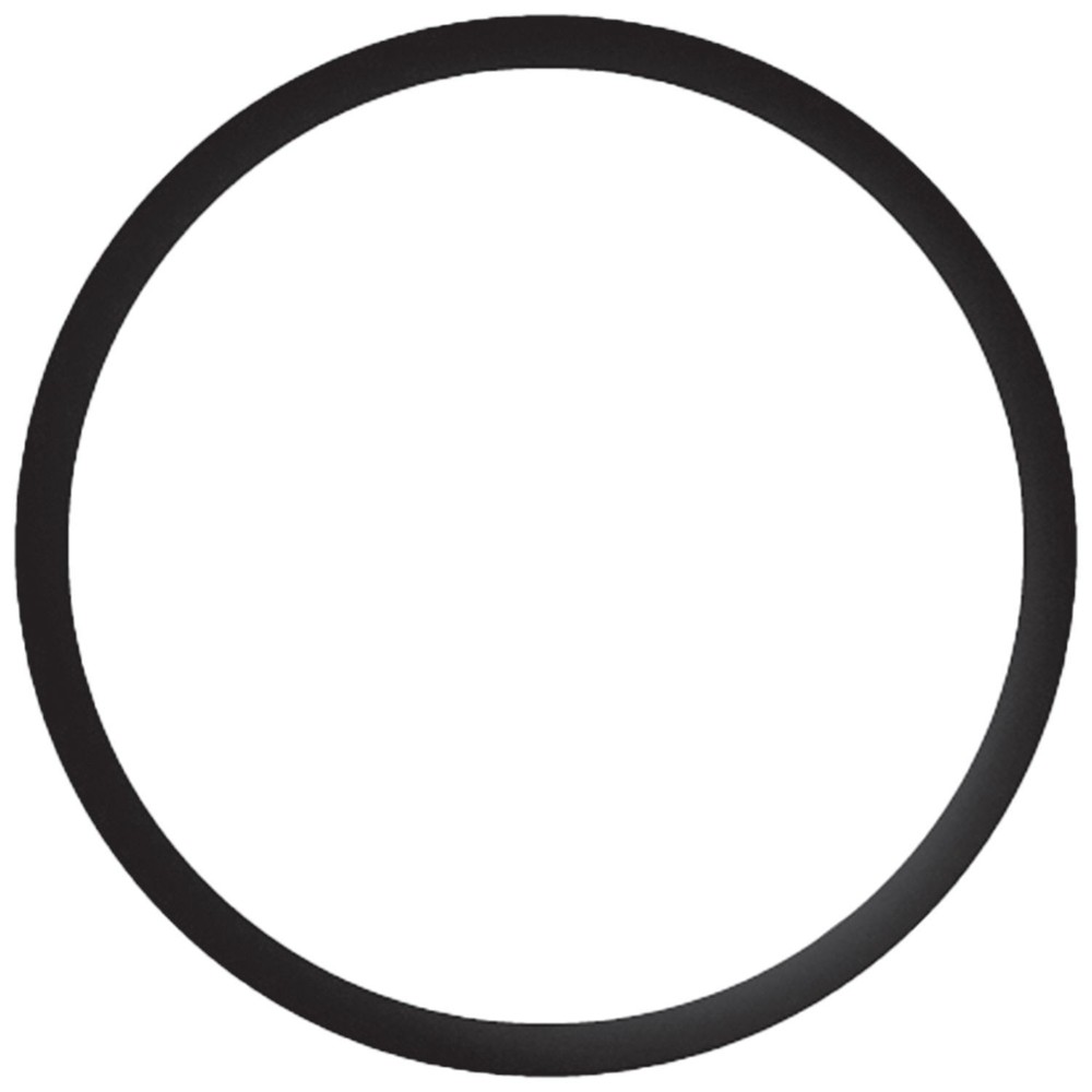 Thermostat Seal   Gates   33682