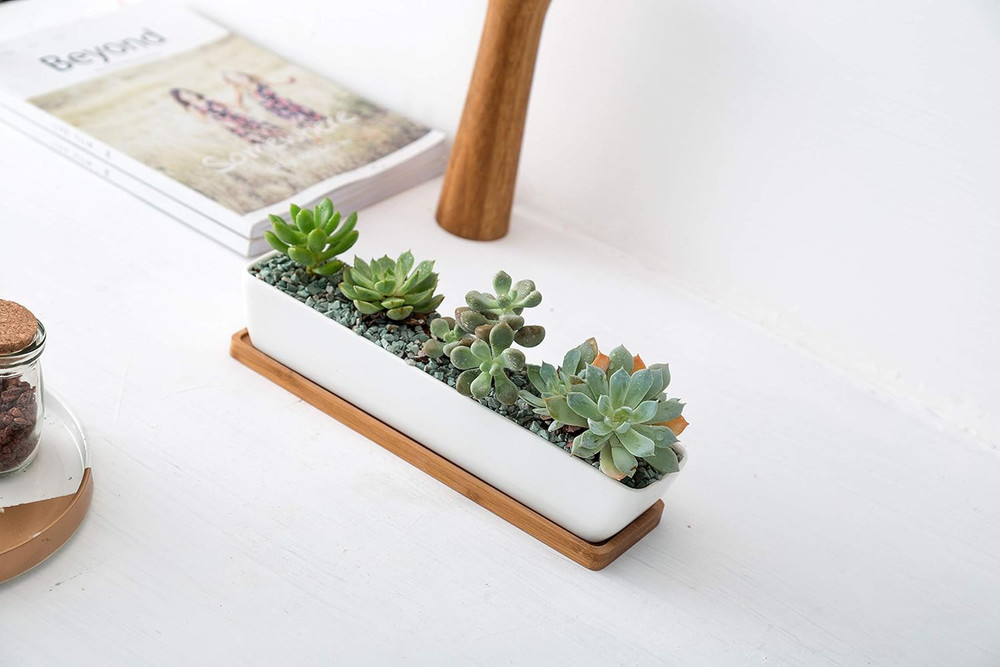 White Rectangular Long Succulent Planter Pot,11X2.16X1.75Inch Modern Minimalist