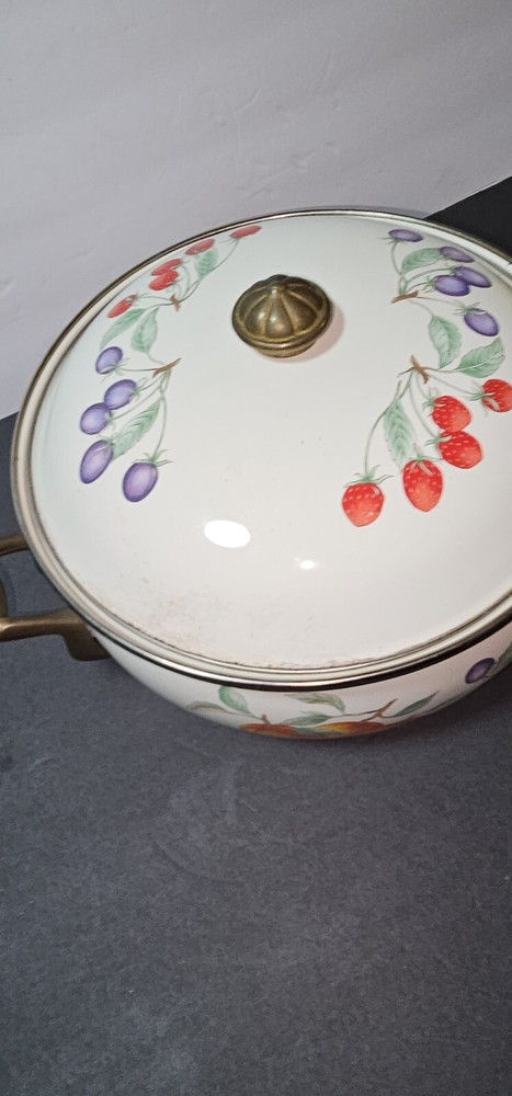 Vintage Regency Spring Fruit 4.5 Quart Dutch Oven
