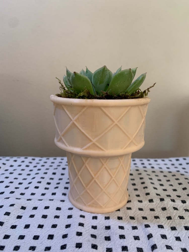 Cake Cone Plain or Chocolate 3D Printed Succulent Planter Ice Cream Cone Pot