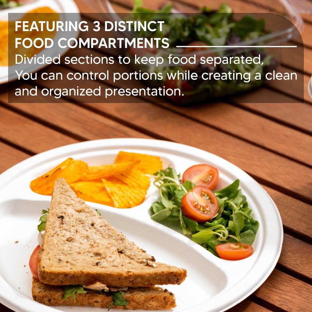 Bagasse Section Plates 10" (26cm) Biodegradable White Compartment Plates