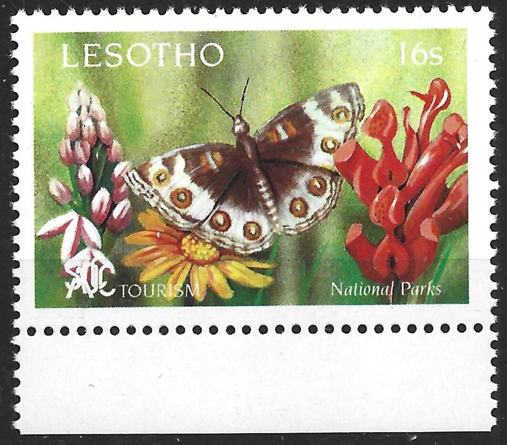 Lesotho 1991.  Butterflies. Sc# 842,  MNH