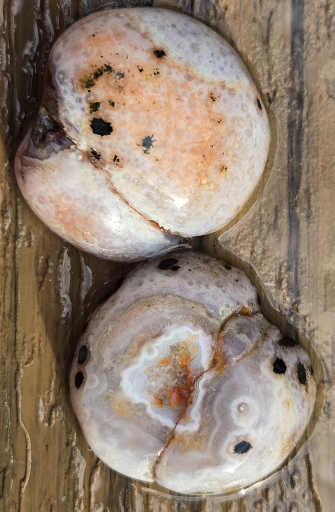 Botswana Agate Cut In Half - Rough, Natural, Not Polished
