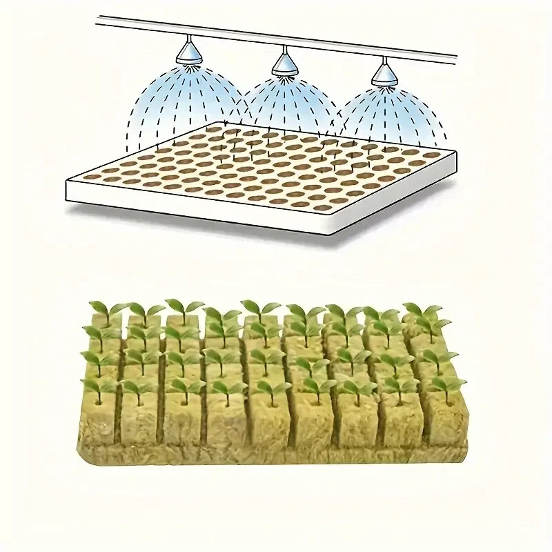 100 Growing Rockwool Plugs and 2 Grow Lights
