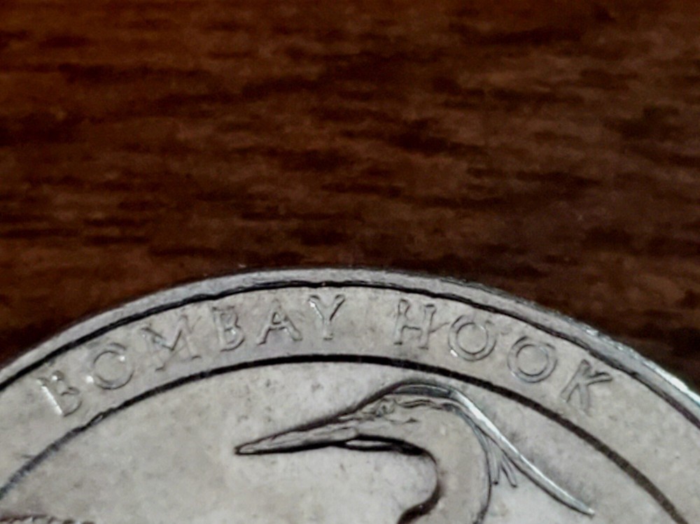 2015 P Delaware (Bombay Hook) State Quarter ERROR Coin