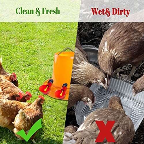 10 Pack Chicken Automatic Water Cups DIY Poultry Waterer Bowls