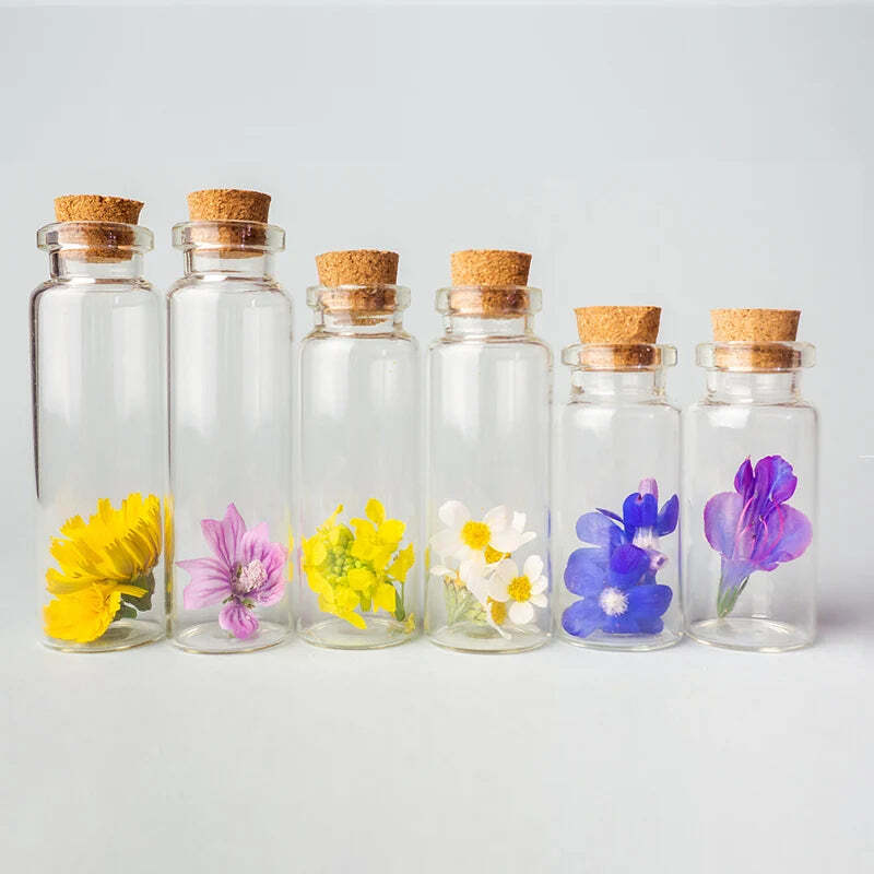 Little glass bottle with corks!