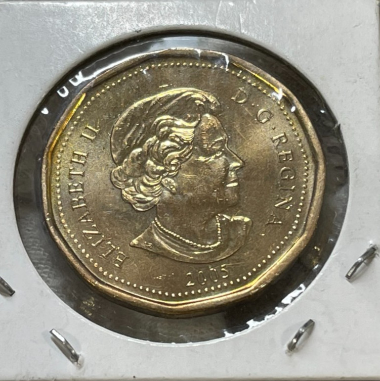 2005 Canada One Dollar Coin Excellent Condition