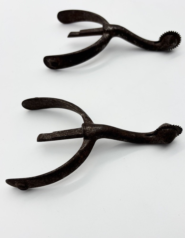 Swan Neck Spurs