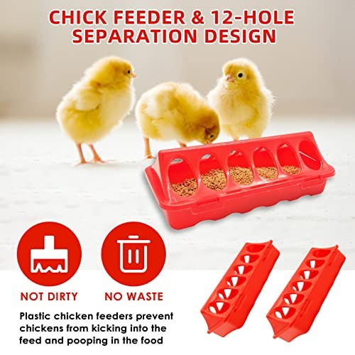 with Chick Perch,flip Top Poultry Feeder, 1l Chick Brooder Box Starter Kit