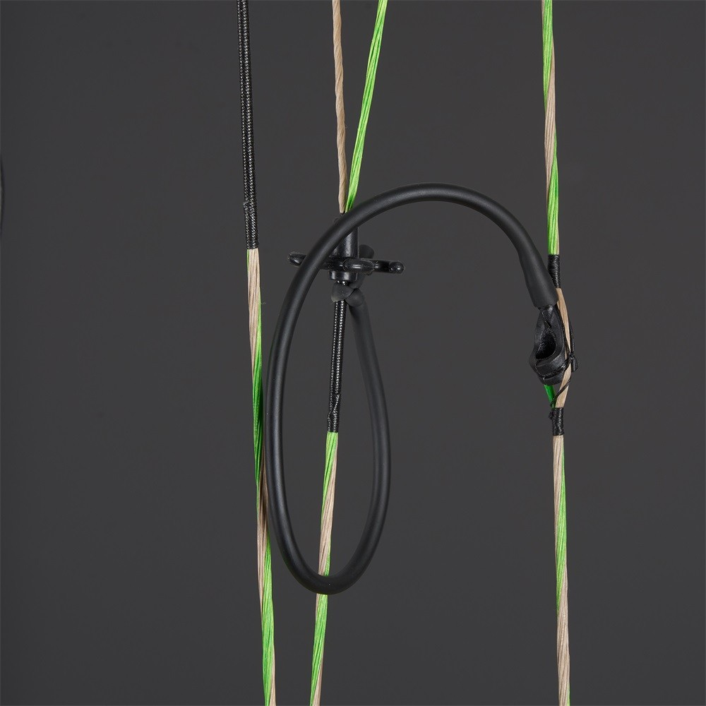 Compound Bow 30-70lbs Adjustable Archery Bow Carbon Arrows Hunting Shoot Target