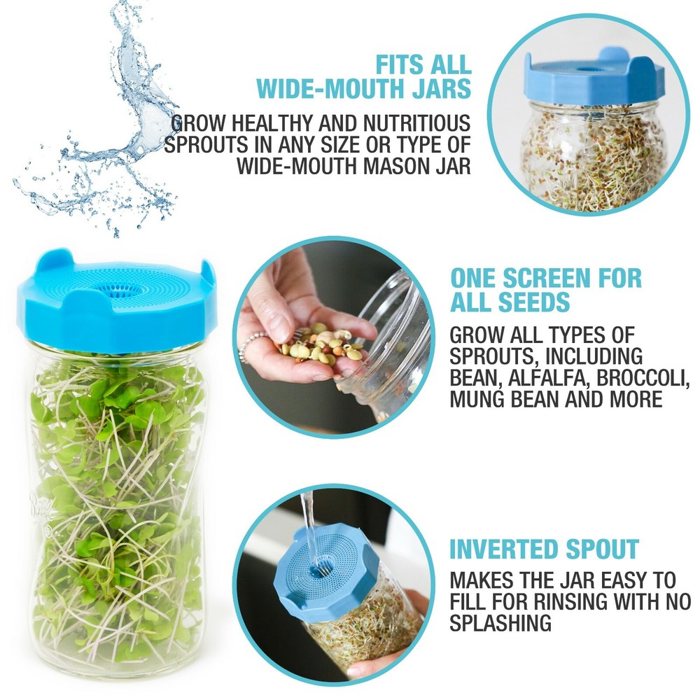 Masontops Bean Screen Mason Jar Sprouting Lids - 2-Pack Wide Mouth