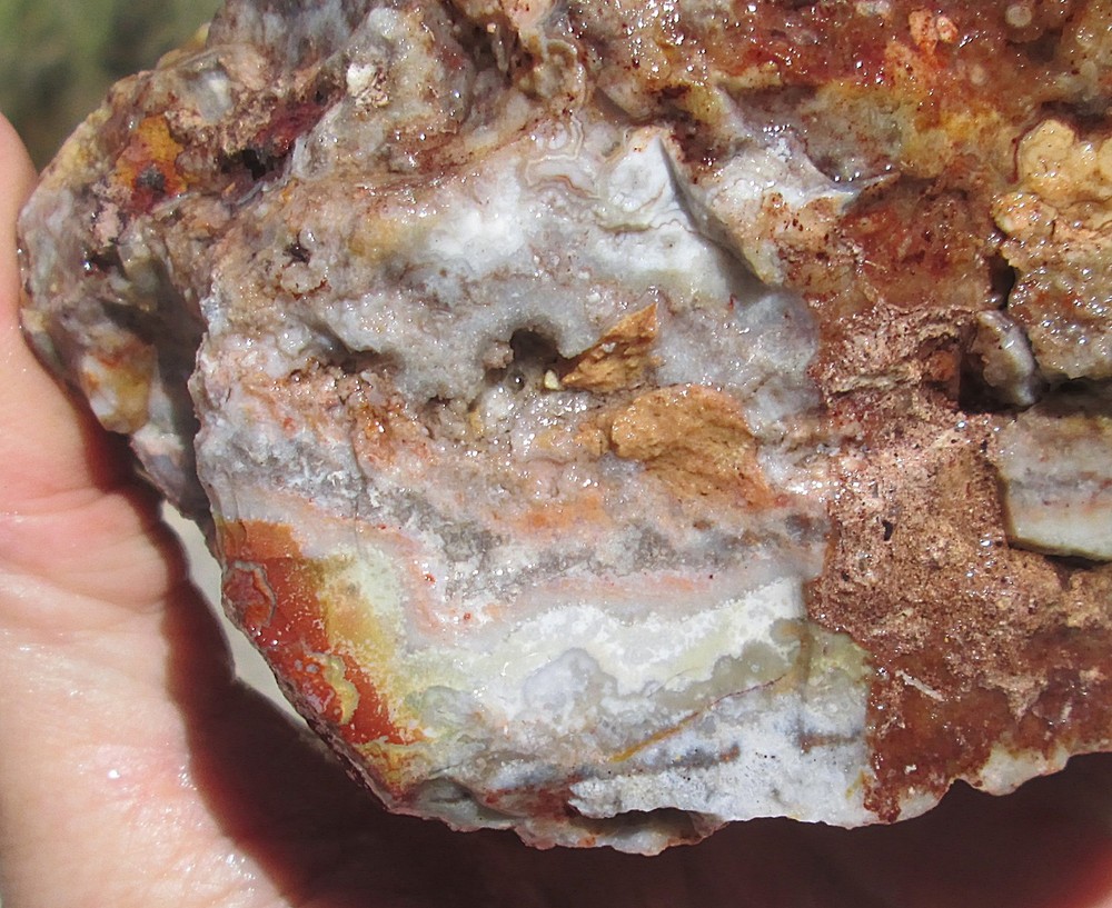 CRAZY LACE AGATE ROUGH ~ 4 lbs 2 ozs