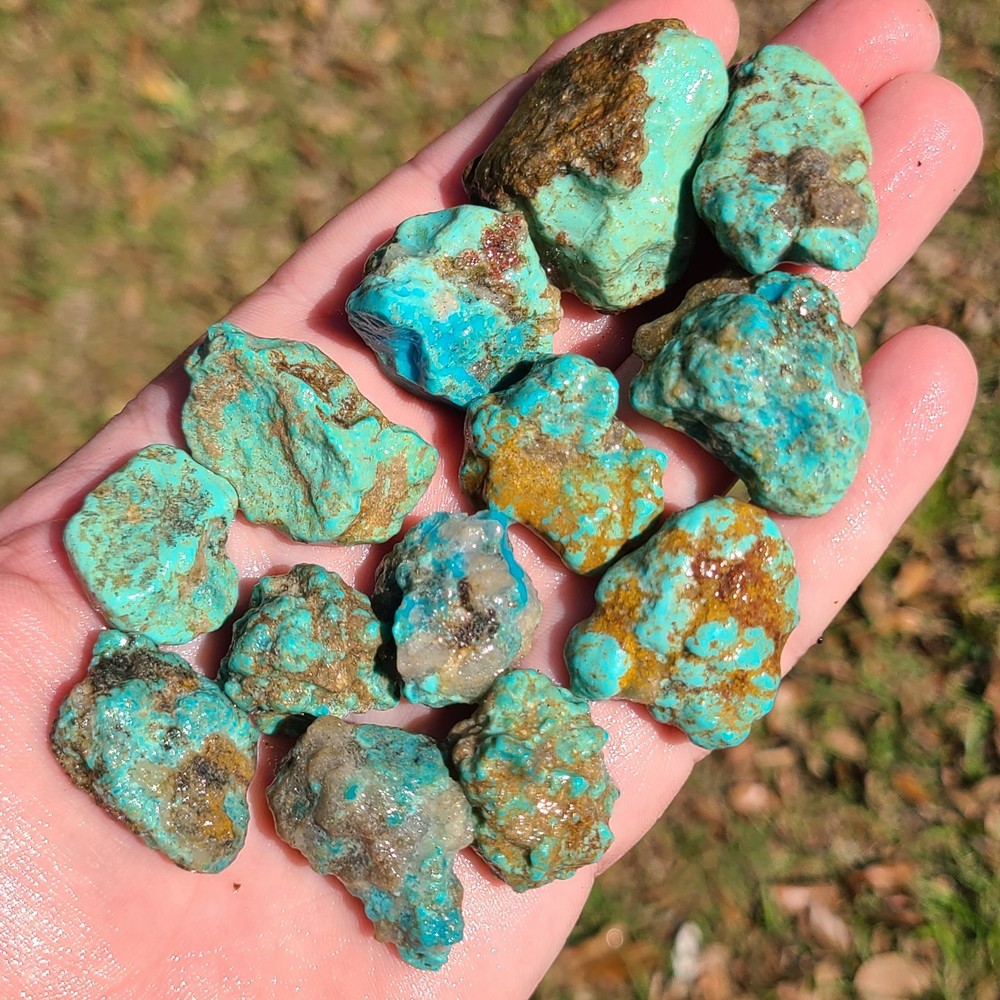 STABILIZED CAMPITOS TURQUOISE ROUGH MEXICO 131.5 GRAMS