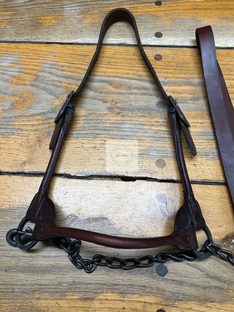 LEATHER COW HALTER WITH CHAIN LEAD(SIZE MEDIUM)